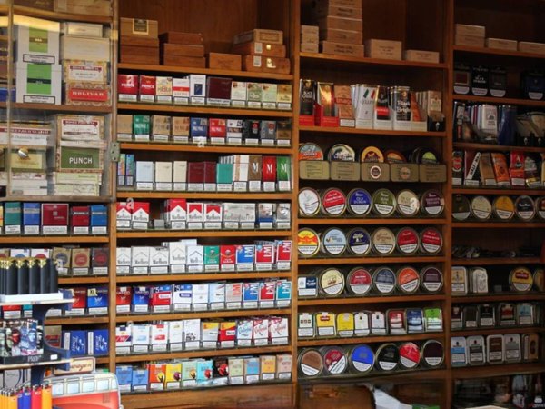 negozio in vendita a Livorno