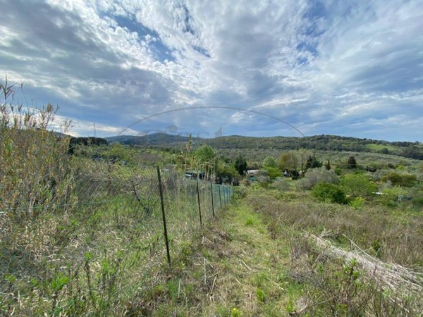 terreno agricolo in vendita a Livorno in zona Limoncino