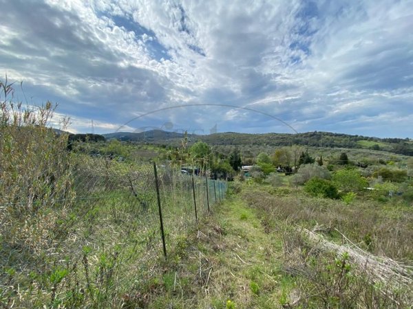 terreno agricolo in vendita a Livorno in zona Limoncino