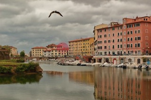 appartamento in vendita a Livorno