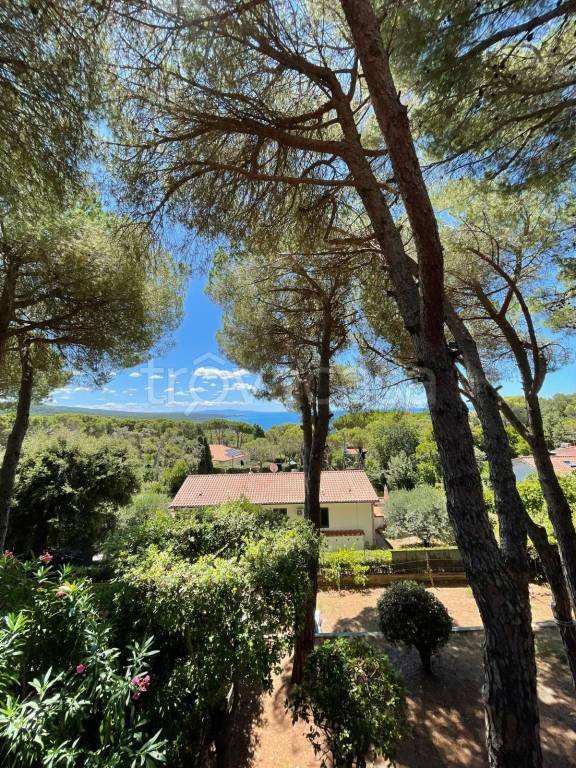 casa indipendente in vendita a Livorno in zona Quercianella