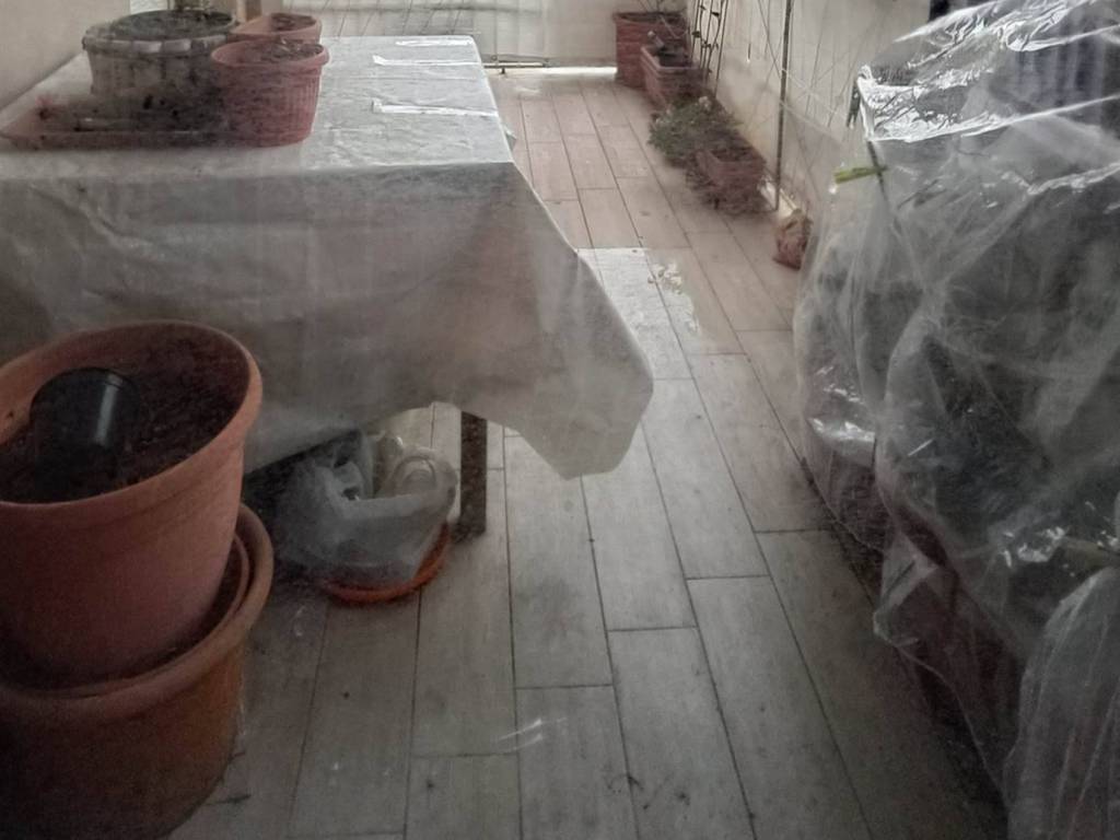 appartamento in vendita a Livorno