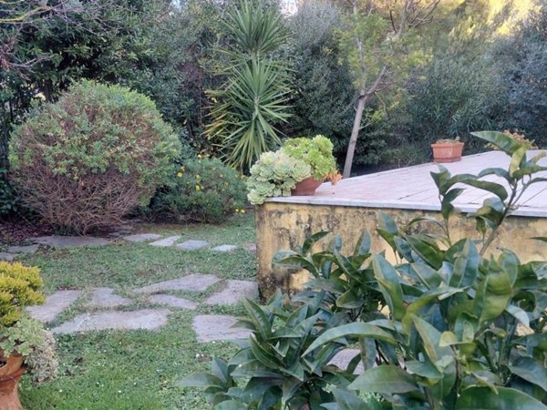 casa indipendente in vendita a Livorno in zona Limoncino