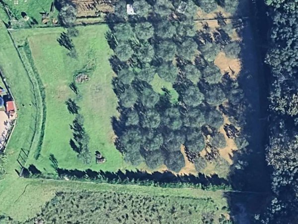 terreno agricolo in vendita a Livorno in zona Stillo