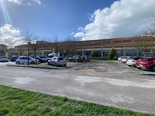 negozio in vendita a Livorno in zona Ardenza