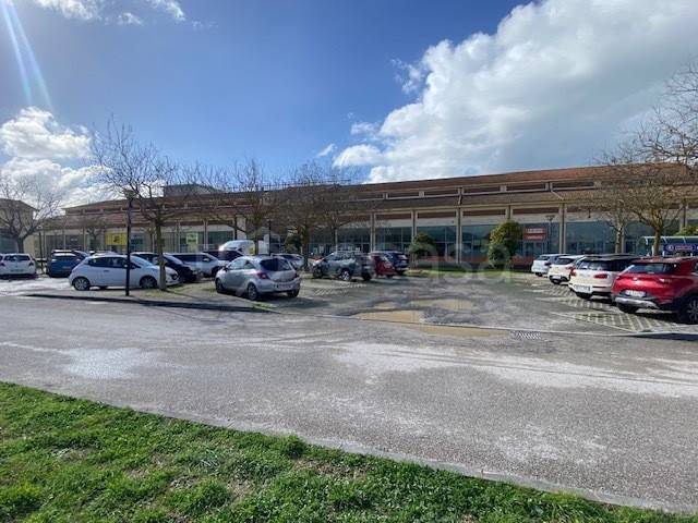 negozio in vendita a Livorno in zona Ardenza