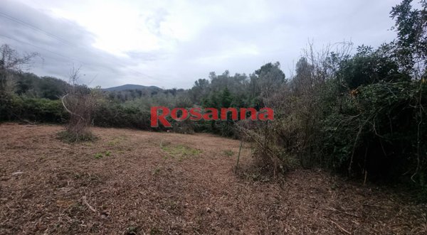 terreno agricolo in vendita a Livorno in zona Stillo