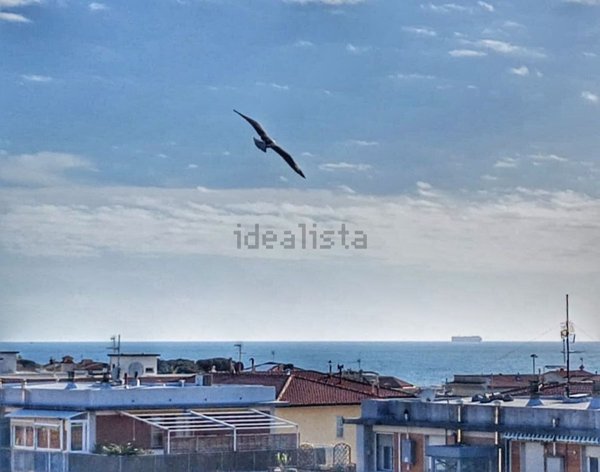 appartamento in vendita a Livorno in zona Ardenza