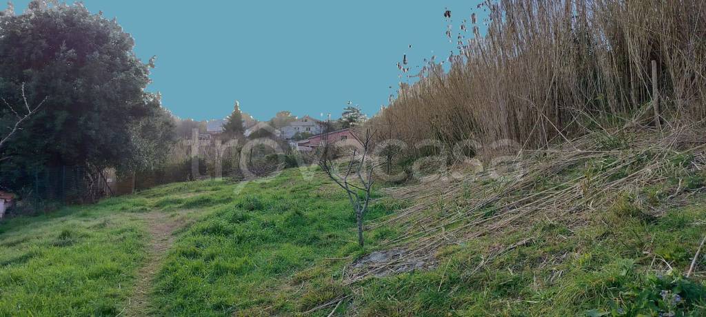 terreno agricolo in vendita a Livorno in zona Montenero