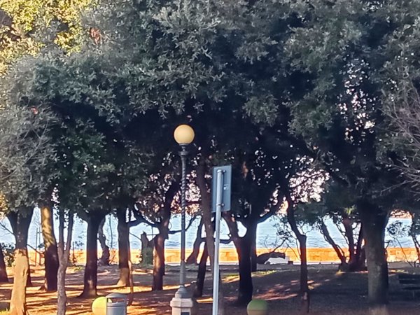 appartamento in vendita a Livorno