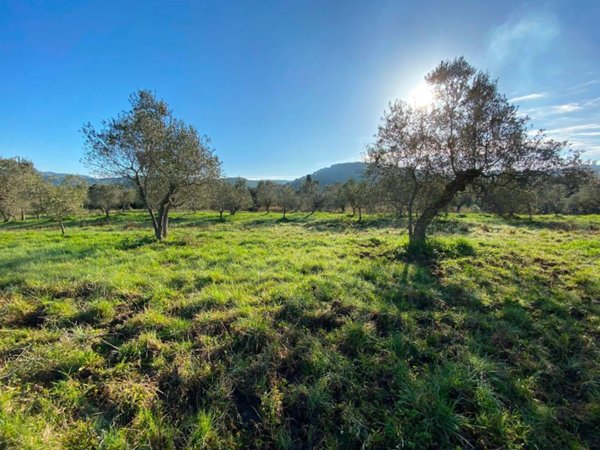 terreno agricolo in vendita a Livorno in zona Montenero