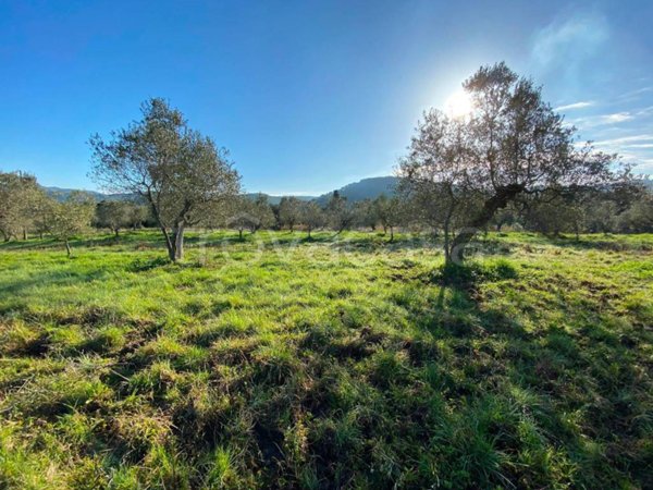 terreno agricolo in vendita a Livorno in zona Montenero