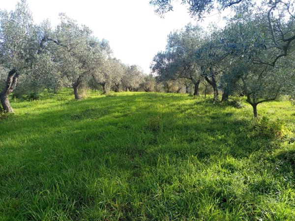 terreno agricolo in vendita a Livorno in zona Limoncino
