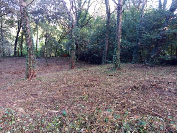 terreno agricolo in vendita a Livorno in zona Stillo