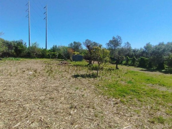 terreno agricolo in vendita a Livorno in zona Limoncino