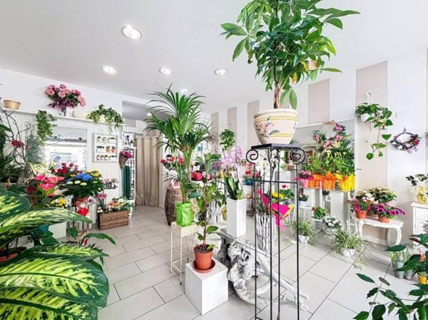 negozio in vendita a Livorno