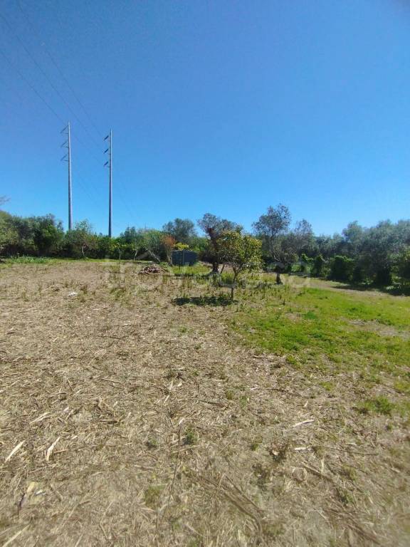 terreno agricolo in vendita a Livorno