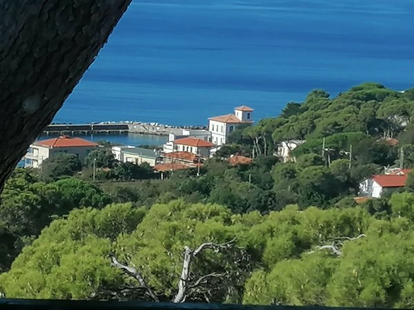 appartamento in vendita a Livorno