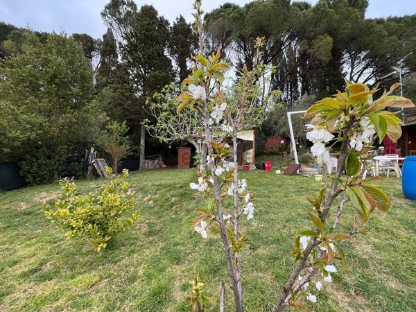 terreno agricolo in vendita a Livorno