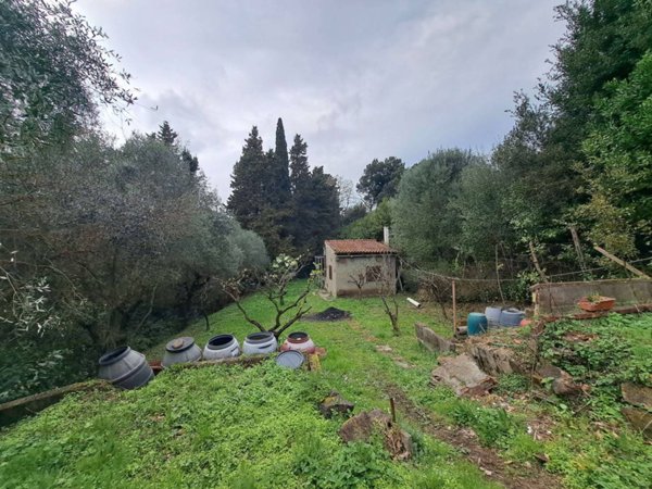 terreno agricolo in vendita a Livorno