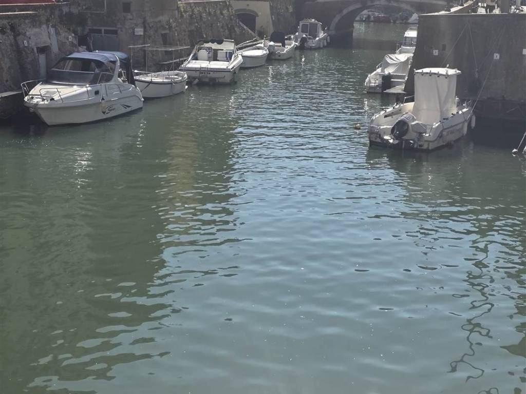 appartamento in vendita a Livorno