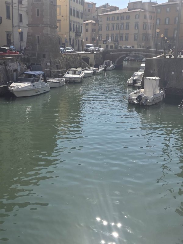 appartamento in vendita a Livorno