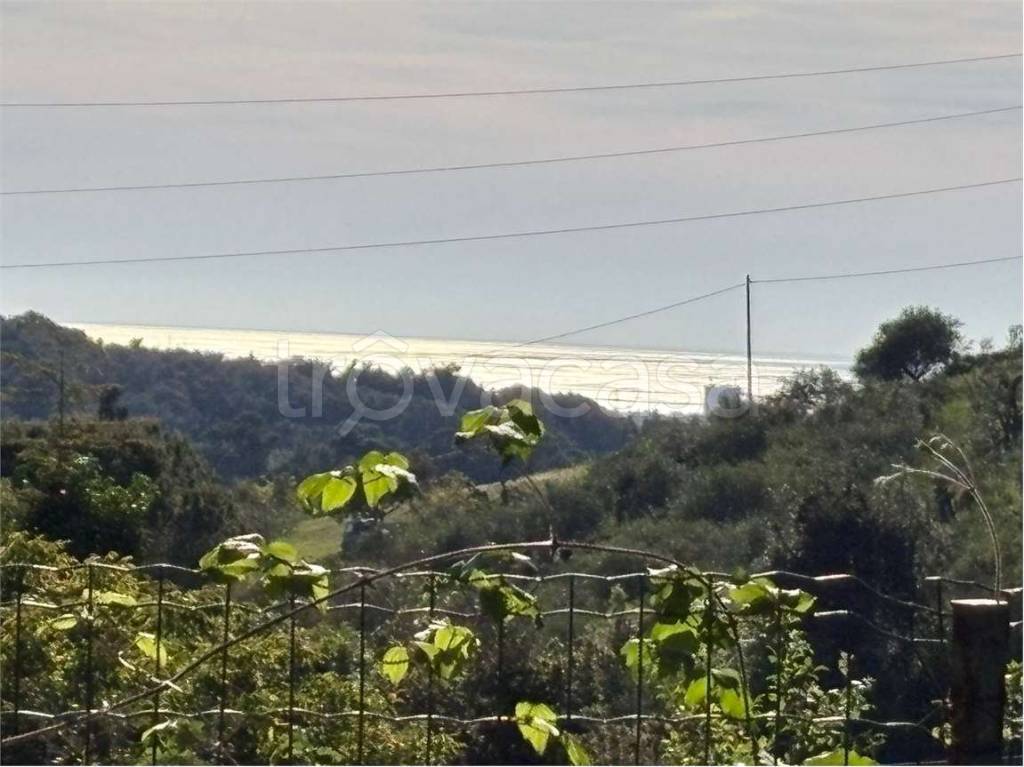terreno agricolo in vendita a Livorno in zona Limoncino