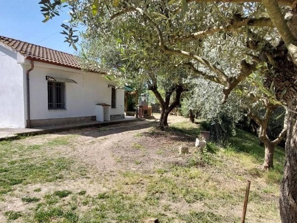 casa indipendente in vendita a Livorno in zona Limoncino