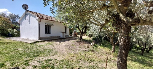 casa indipendente in vendita a Livorno in zona Limoncino