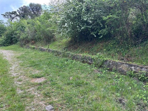 terreno agricolo in vendita a Livorno in zona Montenero