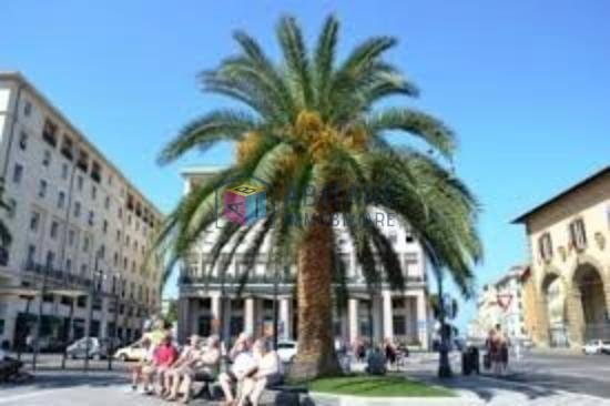 negozio in vendita a Livorno in zona Centro Città