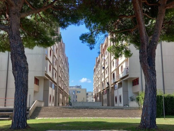 appartamento in vendita a Livorno