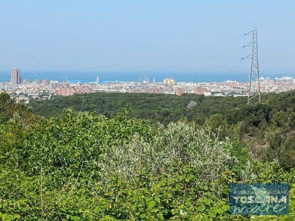 terreno agricolo in vendita a Livorno in zona Limoncino
