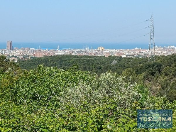terreno agricolo in vendita a Livorno in zona Limoncino