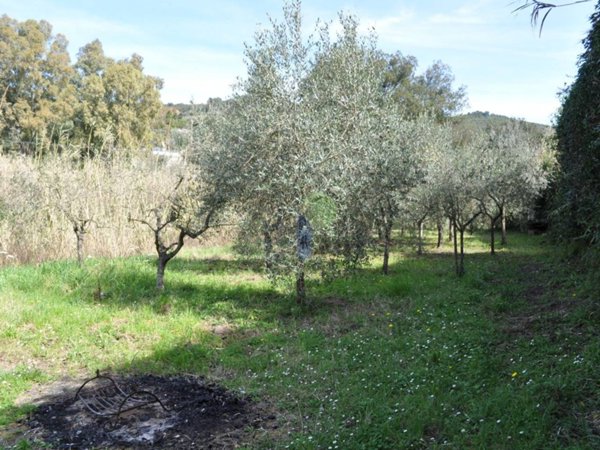 terreno in vendita a Livorno
