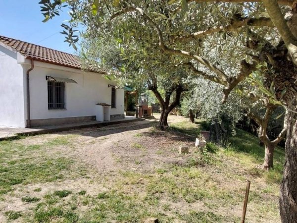 casa indipendente in vendita a Livorno in zona Limoncino