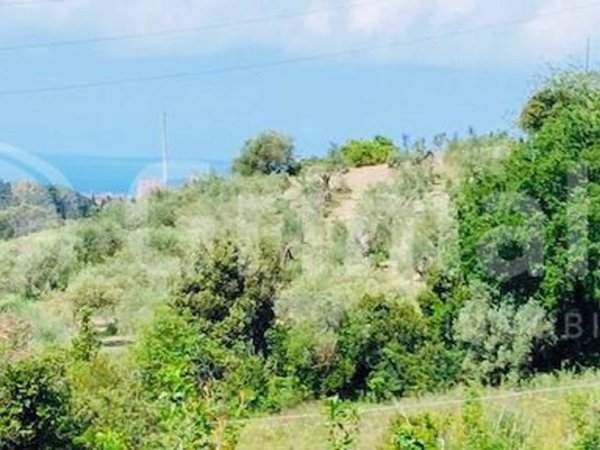 terreno agricolo in vendita a Livorno in zona Limoncino
