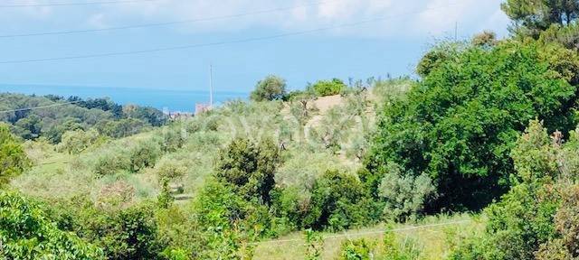 terreno agricolo in vendita a Livorno in zona Limoncino