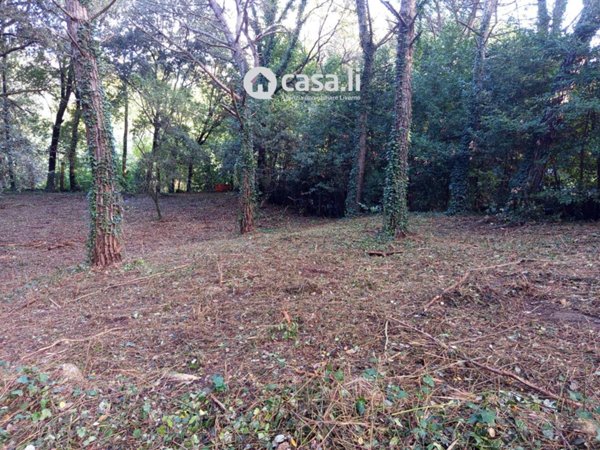 terreno agricolo in vendita a Livorno in zona Stillo