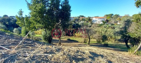 terreno agricolo in vendita a Livorno in zona Montenero
