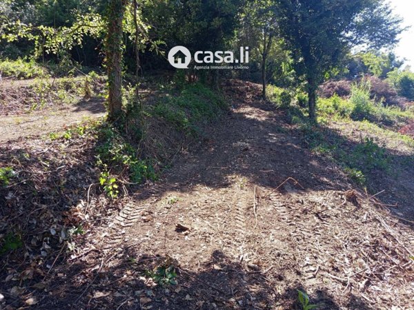 terreno agricolo in vendita a Livorno in zona Montenero