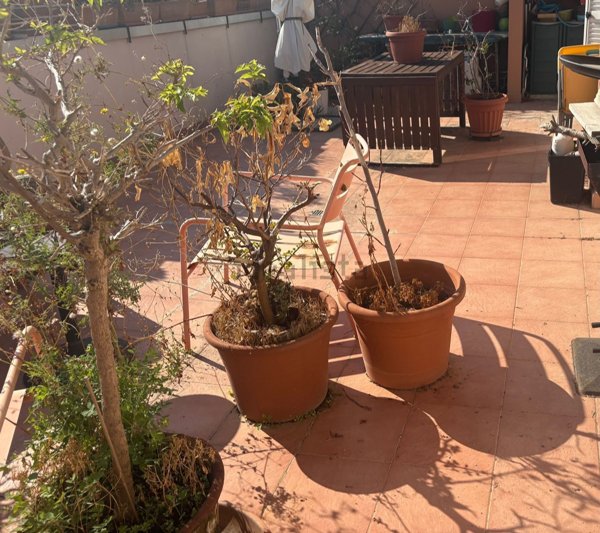 appartamento in vendita a Livorno in zona Lungomare