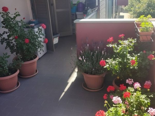appartamento in vendita a Livorno in zona Le Basse