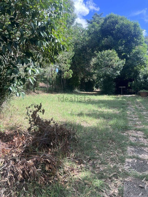 terreno agricolo in vendita a Livorno in zona Padula