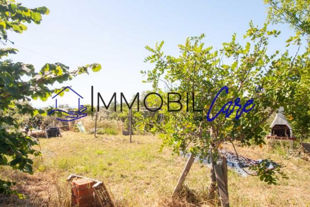 terreno agricolo in vendita a Livorno in zona Limoncino