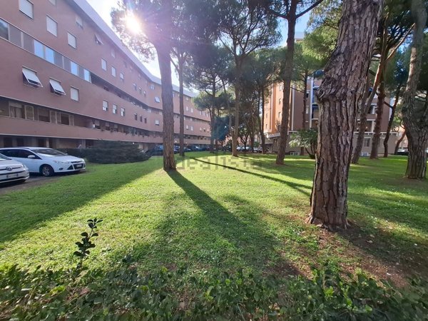 appartamento in vendita a Livorno in zona Ardenza