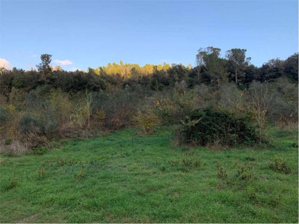 terreno agricolo in vendita a Livorno in zona Collinaia