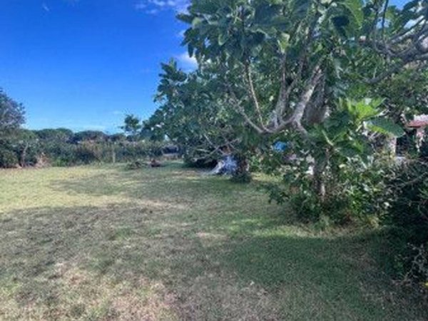 terreno agricolo in vendita a Livorno in zona Montenero