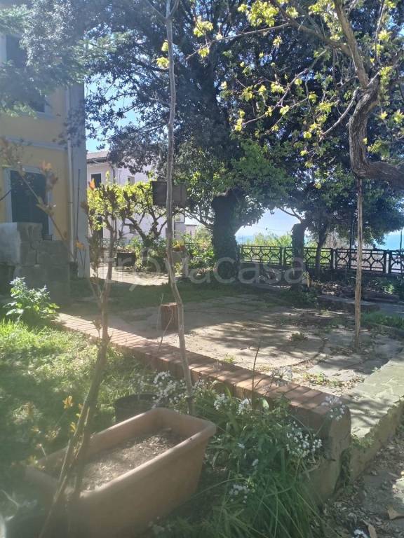 casa indipendente in vendita a Livorno in zona Fattoria del Pino