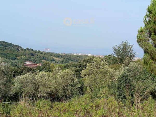 terreno agricolo in vendita a Livorno in zona Limoncino